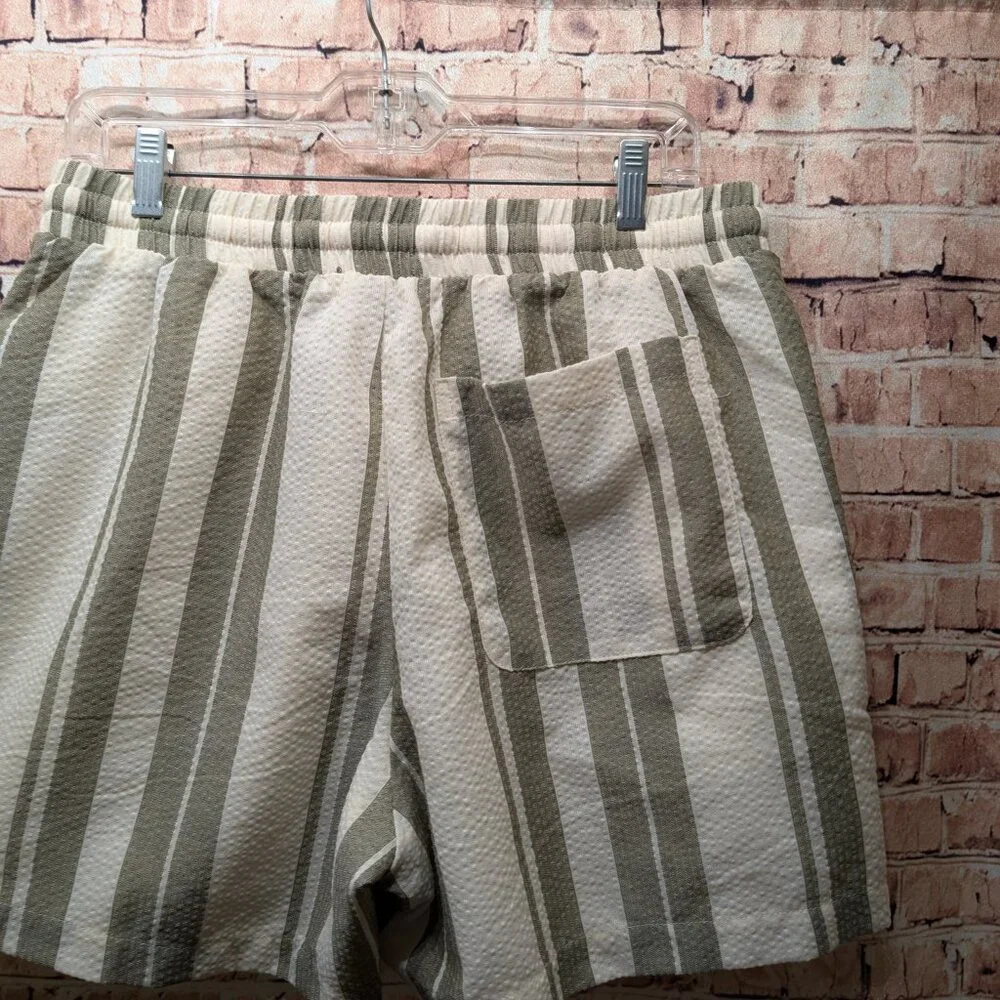 Forever 21 Swim Trunks Shorts Striped Green and Cream Size Large